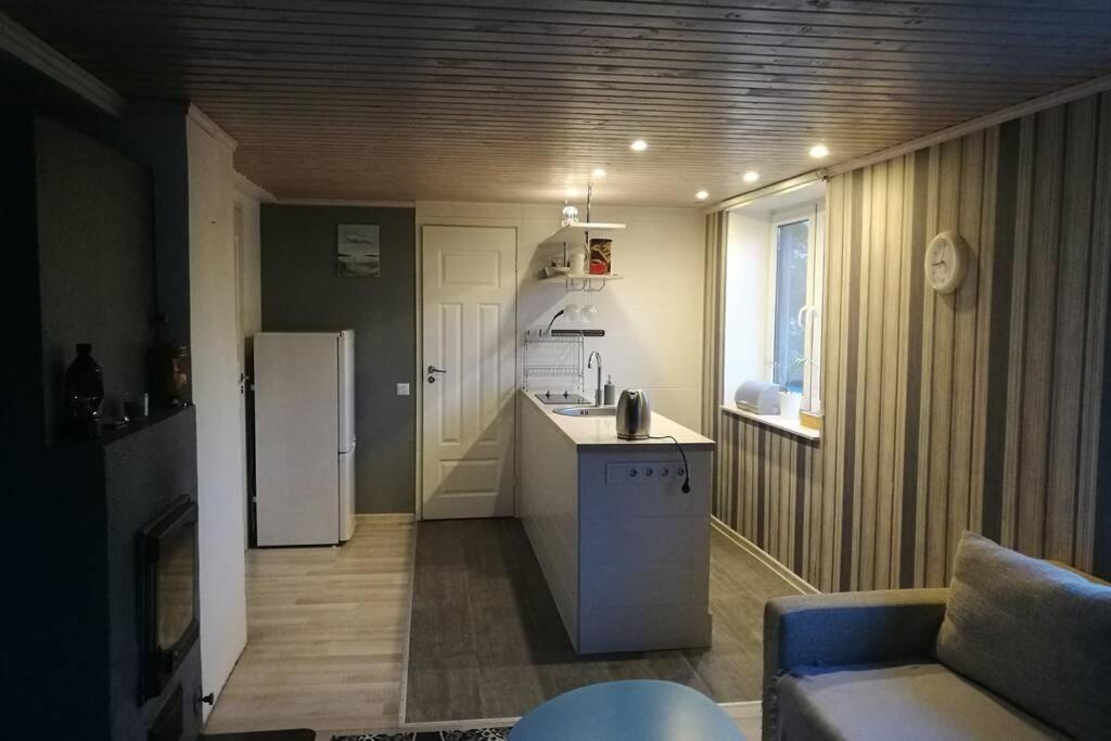 Quiet Place With Garden Studio Apartment Reval Esterno foto